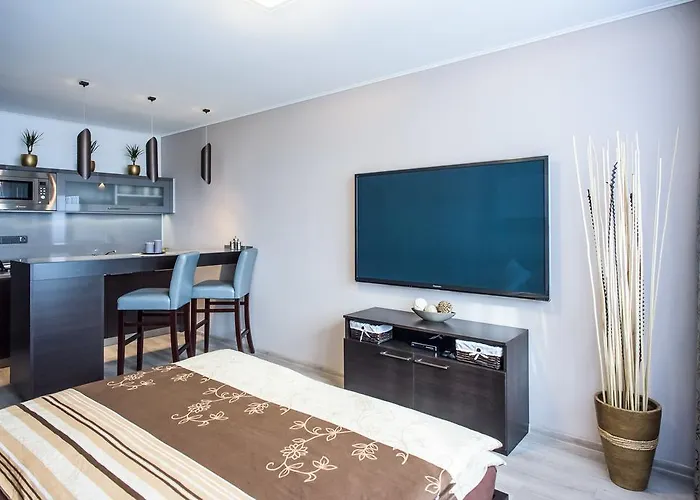 Luxury Lejlighed Ostrava